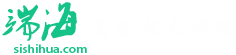 曙海培訓(xùn)，工程師的項目導(dǎo)師